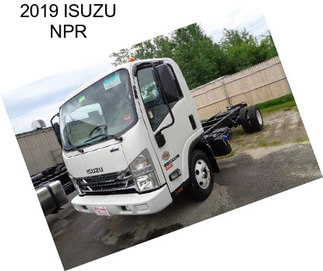 2019 ISUZU NPR