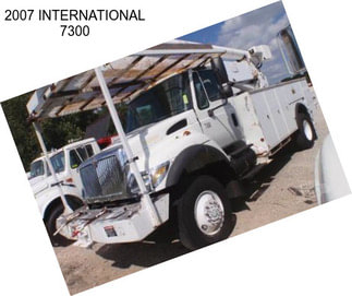 2007 INTERNATIONAL 7300