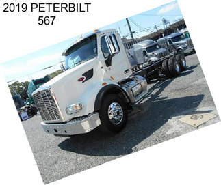 2019 PETERBILT 567