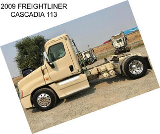 2009 FREIGHTLINER CASCADIA 113