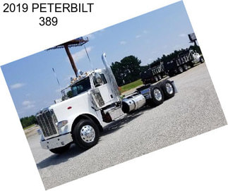 2019 PETERBILT 389