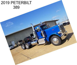 2019 PETERBILT 389