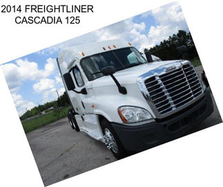 2014 FREIGHTLINER CASCADIA 125