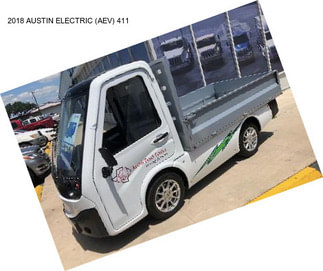 2018 AUSTIN ELECTRIC (AEV) 411