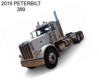 2019 PETERBILT 389