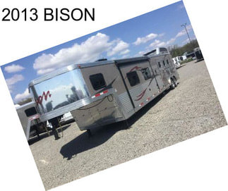 2013 BISON