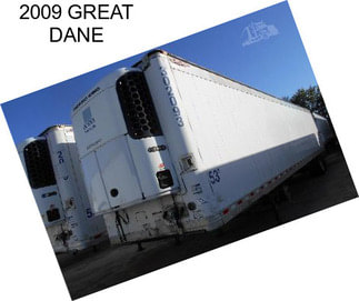 2009 GREAT DANE