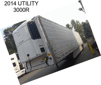 2014 UTILITY 3000R