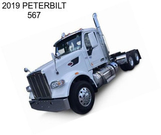 2019 PETERBILT 567