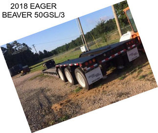 2018 EAGER BEAVER 50GSL/3