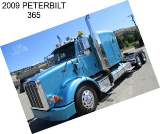 2009 PETERBILT 365