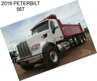 2019 PETERBILT 567