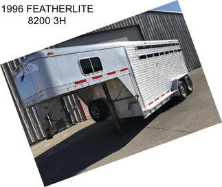 1996 FEATHERLITE 8200 3H