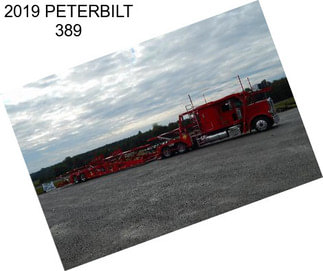 2019 PETERBILT 389