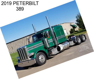 2019 PETERBILT 389