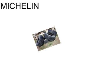 MICHELIN