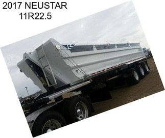 2017 NEUSTAR 11R22.5