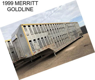 1999 MERRITT GOLDLINE