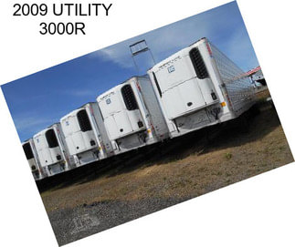 2009 UTILITY 3000R