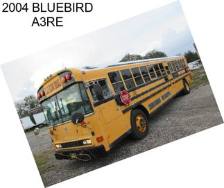 2004 BLUEBIRD A3RE