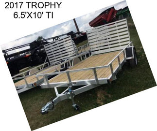 2017 TROPHY 6.5\'X10\' TI