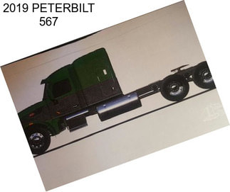 2019 PETERBILT 567