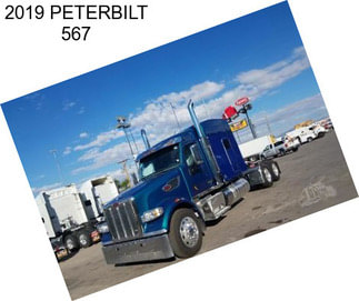 2019 PETERBILT 567