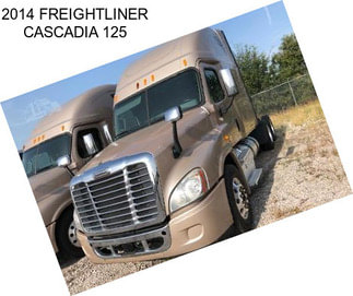 2014 FREIGHTLINER CASCADIA 125