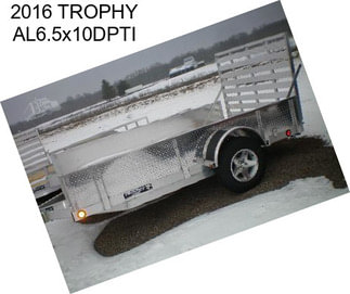 2016 TROPHY AL6.5x10DPTI