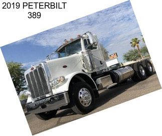 2019 PETERBILT 389