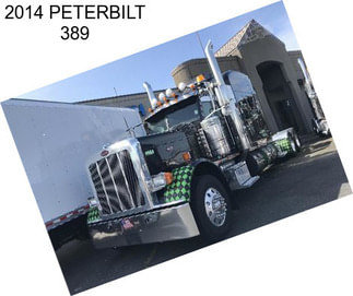 2014 PETERBILT 389