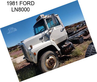 1981 FORD LN8000