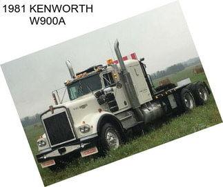 1981 KENWORTH W900A