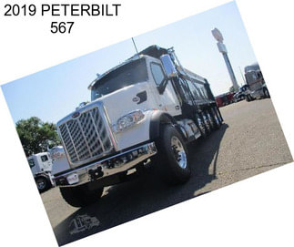 2019 PETERBILT 567