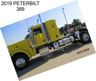 2019 PETERBILT 389