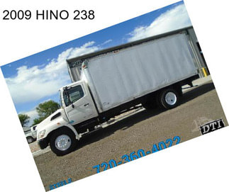 2009 HINO 238
