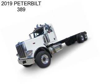 2019 PETERBILT 389