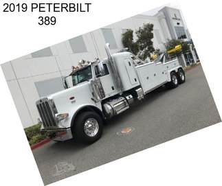 2019 PETERBILT 389