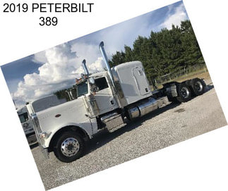 2019 PETERBILT 389