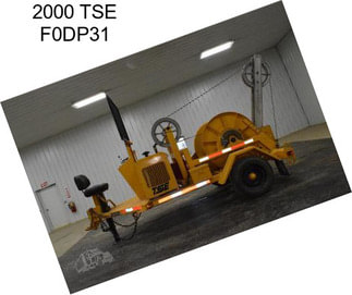 2000 TSE F0DP31