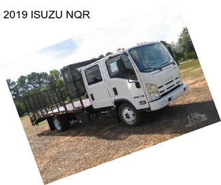 2019 ISUZU NQR