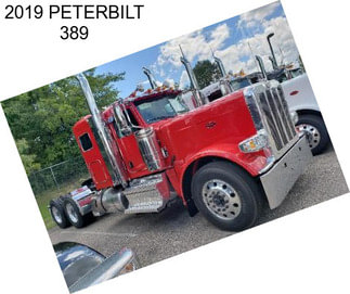 2019 PETERBILT 389