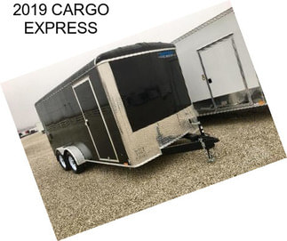 2019 CARGO EXPRESS