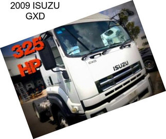 2009 ISUZU GXD