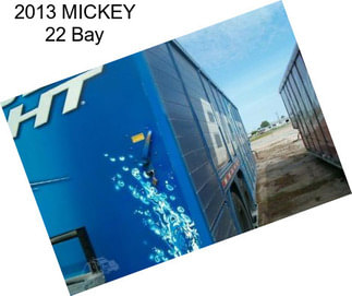 2013 MICKEY 22 Bay