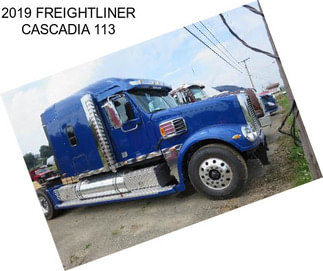 2019 FREIGHTLINER CASCADIA 113