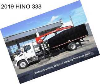 2019 HINO 338