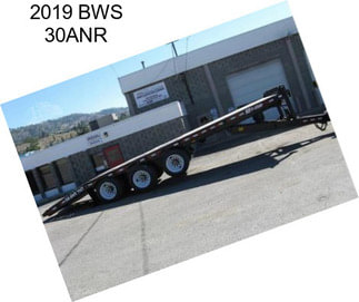 2019 BWS 30ANR