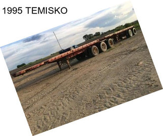 1995 TEMISKO