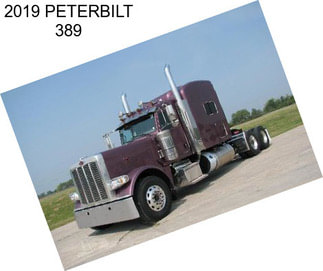 2019 PETERBILT 389